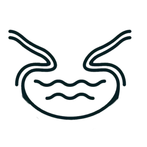 Cove icon indicating a secluded and sheltered bay