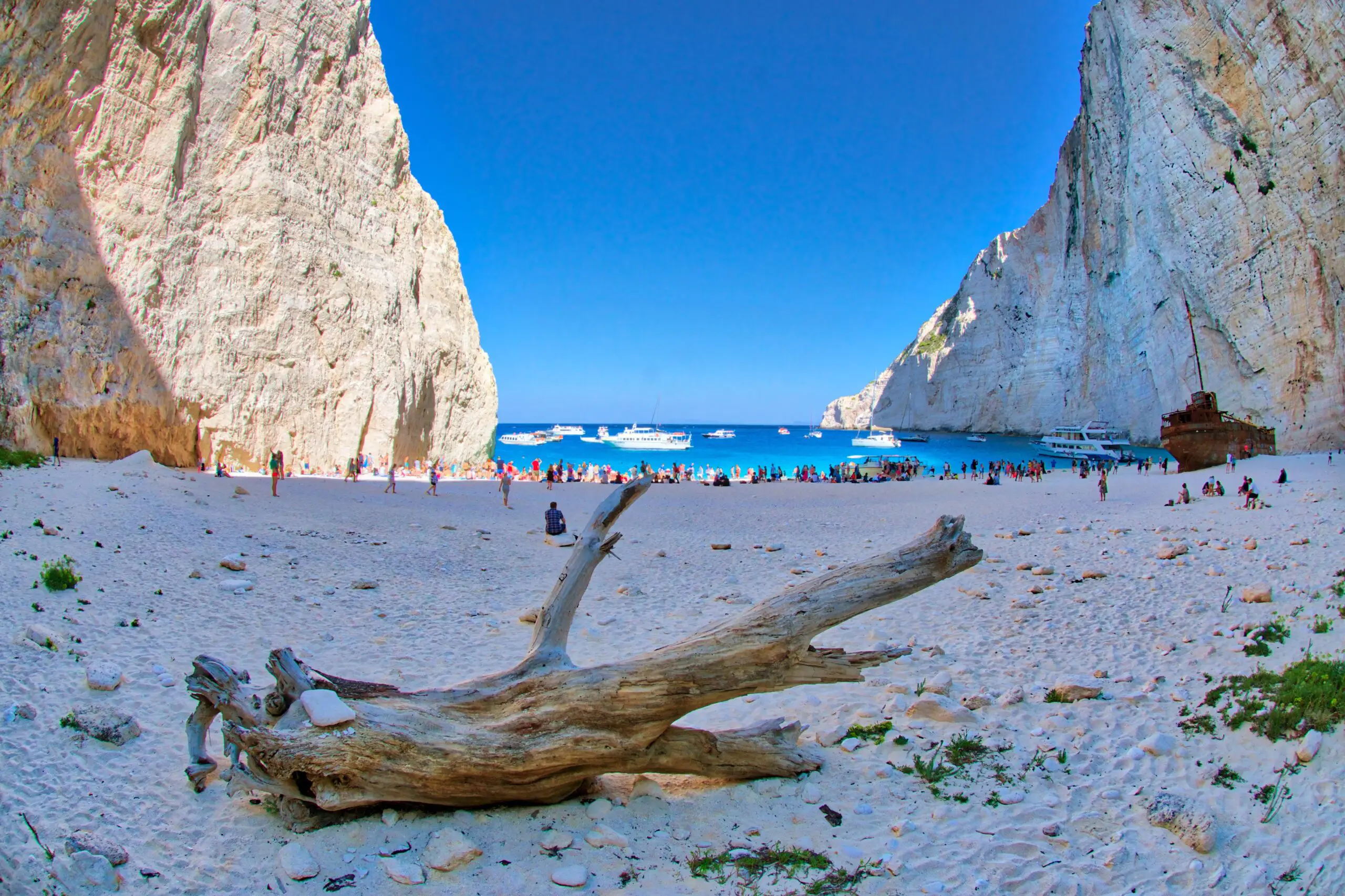 A unique perspective of Navagio Beach (Shipwreck) in Zakynthos framed by driftwood, a highlight destination of our private boat charters from Kefalonia